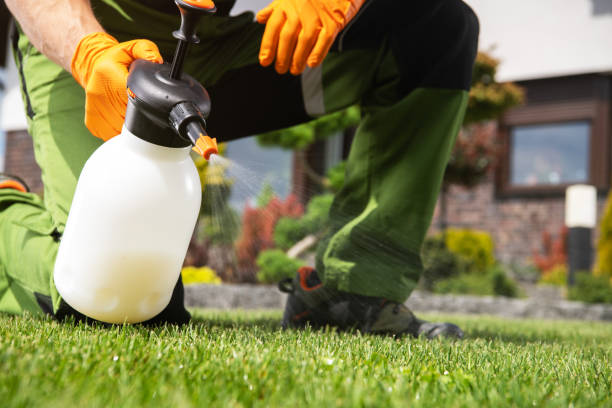 Best Flea Control Services  in Macopin, NJ