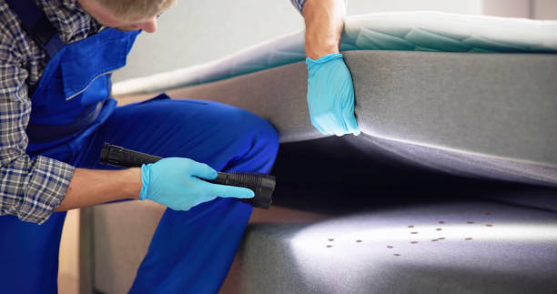 Best Mosquito Control Services  in Macopin, NJ