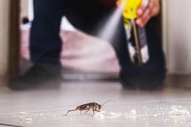 Best Termite Control Services  in Macopin, NJ